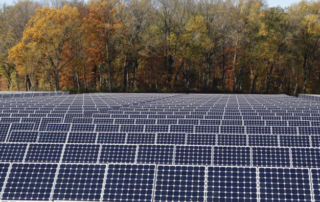 Castaways Energy Farming. Photo of a field full of solar panels.