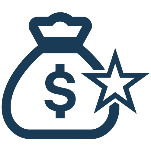 Money Bag Icon with Dollar Sign and Star Representing Financial Success or Premium Savings | Castaways Energy