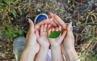 Castaways Energy Florida family holding green leaf symbolizing reducing carbon footprint and sustainable solar energy solutions for homes
